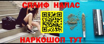 крисы Гай