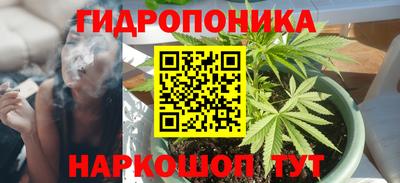 крисы Гай