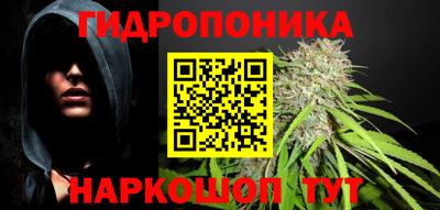 крисы Гай