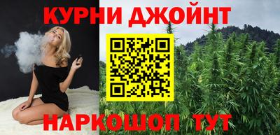 крисы Гай