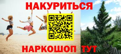 крисы Гай