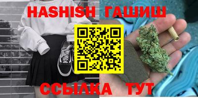 крисы Гай